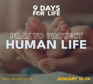 9 DAYS FOR LIFE