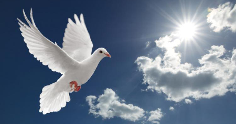 pentecost sunday