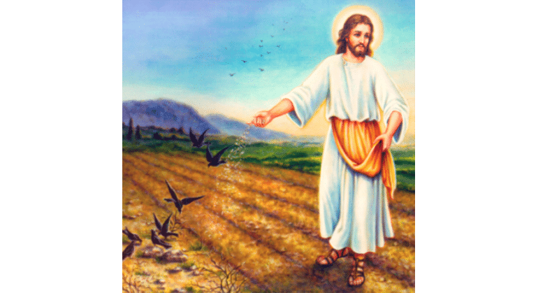 parable of sower