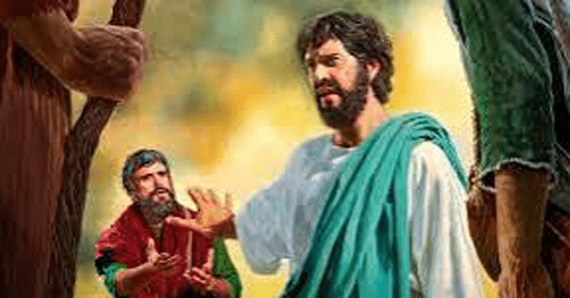 Matthew 16:21-17